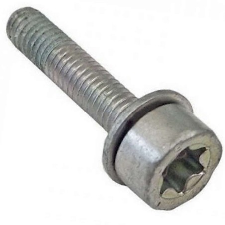 Star screw IS-M4x20 Stihl 90223410710 | Newgardenstore.eu