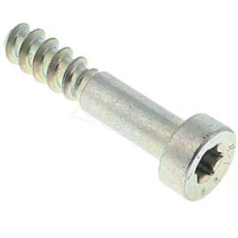 Vite per Lamiera IS-P6x30 Stihl 90744784655 ORIGINALE STIHL - 9074-478-4655