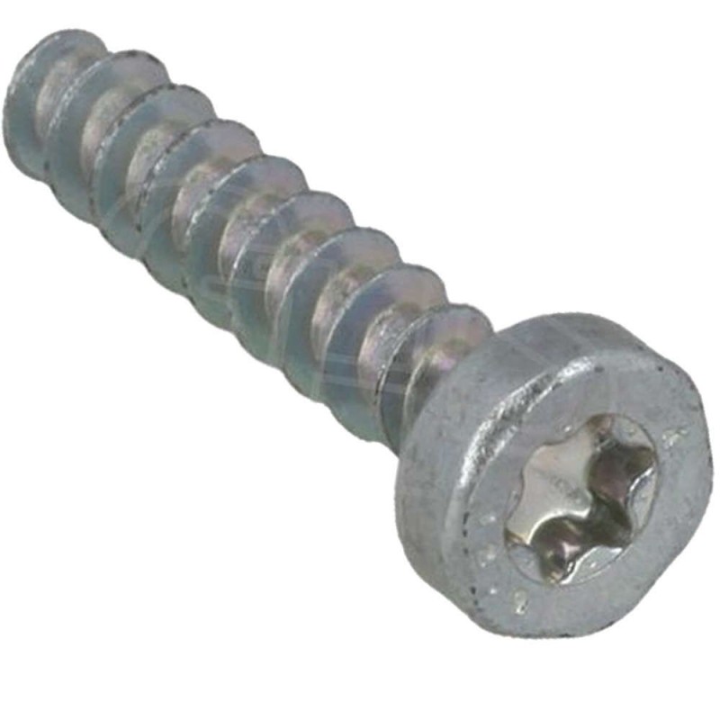 Vite per Lamiera IS-P4x19 Stihl 90744783075 ORIGINALE STIHL - 9074-478-3075