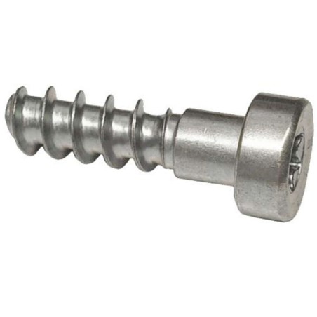 Sheet metal screw IS-P6x26 Stihl 90744784143 | Newgardenstore.eu