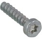 Vite per Lamiera IS-P4x25 Stihl 90744773079 ORIGINALE STIHL - 9074-477-3079