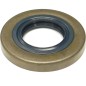 Anello di tenuta radiale 12x20x5 96400031190 ORIGINALE STIHL - 9640-003-1190