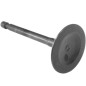 Valvola di ammissione Stihl 42820251801 ORIGINALE STIHL - 4282-025-1801