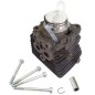 Cilindro con Pistone Stihl 42410201203 ORIGINALE STIHL - 4241-020-1203