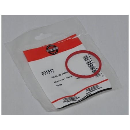 Joint de filtre à air ORIGINAL BRIGGS & STRATTON 281106 691917 | Newgardenstore.eu