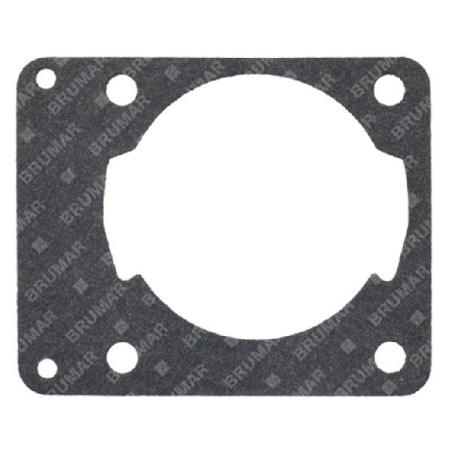 Guarnizione cilindro per motoseghe PROGREEN - 054647 | Newgardenstore.eu