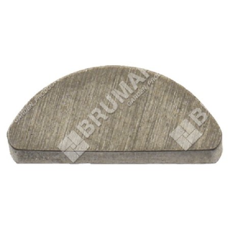 Key for PROGREEN motor hoes - 050523 | Newgardenstore.eu