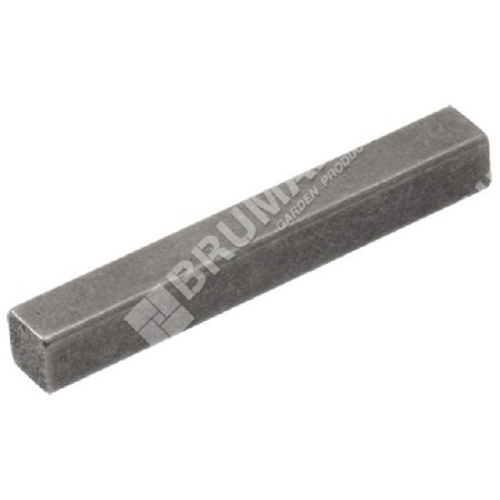 Key for PROGREEN motor hoes - 050520 | Newgardenstore.eu