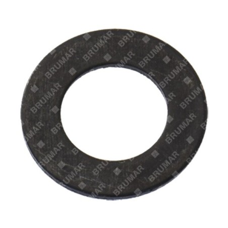 Oil pump washer for PROGREEN chainsaws - 054713 | Newgardenstore.eu