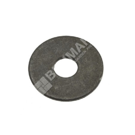 Rondella frizione per motoseghe PROGREEN - 029359 | Newgardenstore.eu