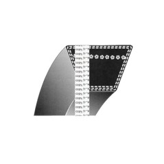 Cinghia TRAPEZOIDALE per rasaerba PROGREEN - 035772 Z32 PG5540 SQB | Newgardenstore.eu