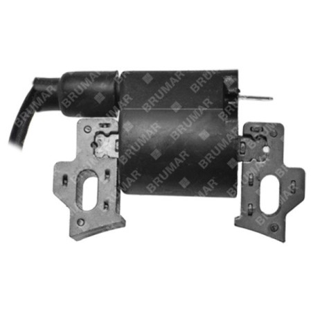 Ignition coil for rotary tillers and PROGREEN engines - 046686 | Newgardenstore.eu