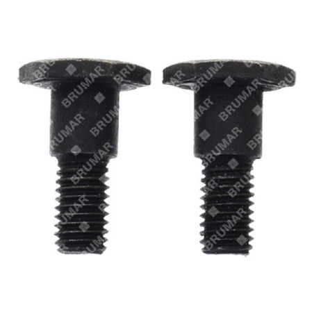 Juego de tornillos de embrague para desbrozadoras PROGREEN - 054017 | Newgardenstore.eu