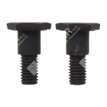 Juego de tornillos de embrague para desbrozadoras PROGREEN - 047989 | Newgardenstore.eu