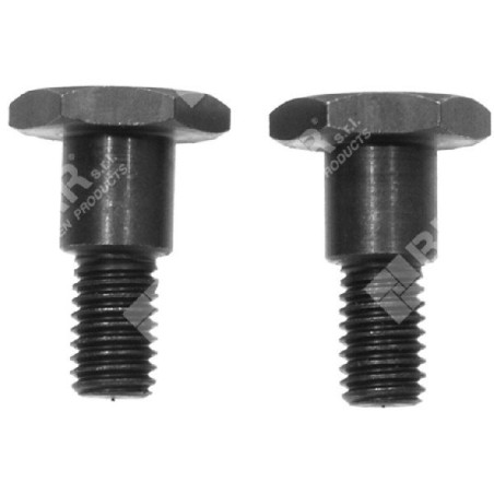 Juego de tornillos de embrague para desbrozadoras PROGREEN - 030776 | Newgardenstore.eu