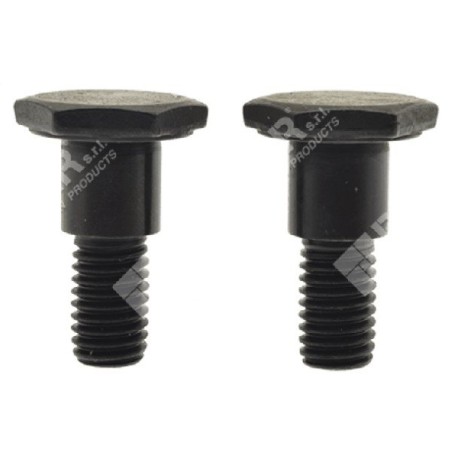 Juego de tornillos de embrague para multiherramienta PROGREEN - 029231 | Newgardenstore.eu