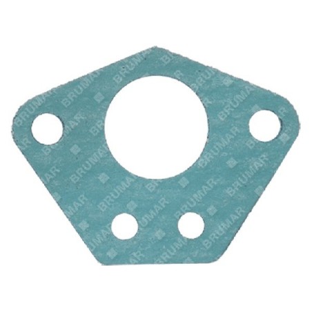 PROGREEN carburettor gasket - 054036 | Newgardenstore.eu