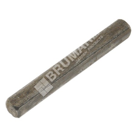 Key for PROGREEN tractors - 034903 | Newgardenstore.eu