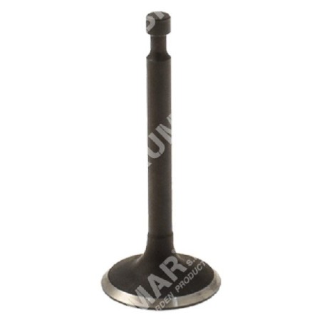 Intake valve for PROGREEN motor hoes - 050829 | Newgardenstore.eu