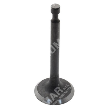 Kit Valvole di aspirazione e scarico per motori PROGREEN - 046664 | Newgardenstore.eu