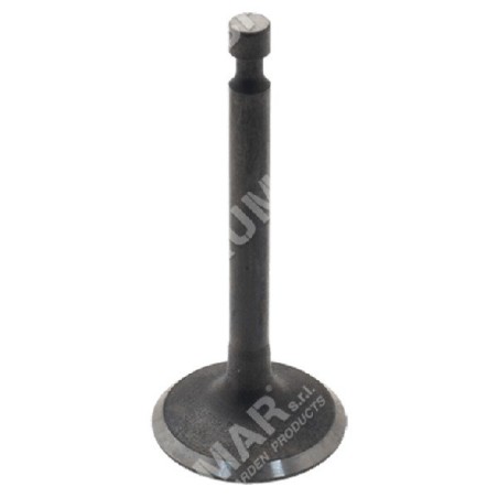 Kit Valvole di aspirazione e scarico per motori PROGREEN - 046663 | Newgardenstore.eu