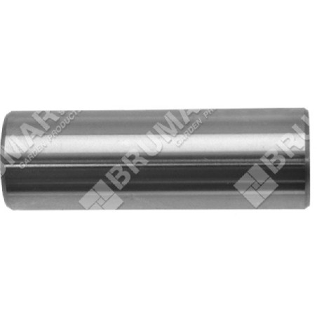 Pasador de pistón diámetro 18 mm para desbrozadoras PROGREEN - 046661 | Newgardenstore.eu