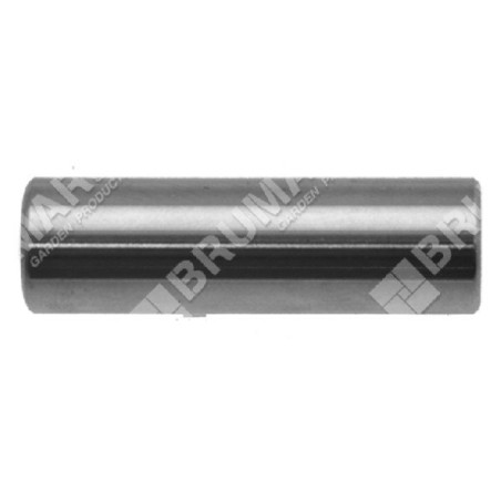 Pasador de pistón diámetro 10 mm para desbrozadoras PROGREEN - 030773 | Newgardenstore.eu