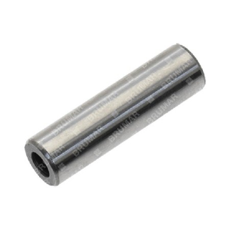 Pasador de pistón diámetro 8 mm para desbrozadoras PROGREEN - 024059 | Newgardenstore.eu