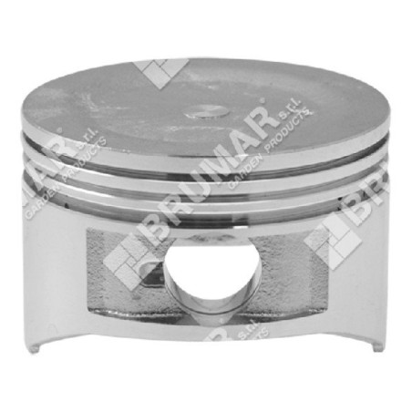 Pistone diametro 70 mm per motozappe PROGREEN - 051710 | Newgardenstore.eu