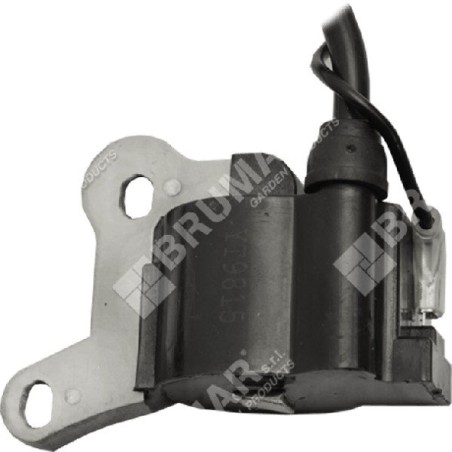 Ignition coil for PROGREEN brushcutters - 046456 | Newgardenstore.eu