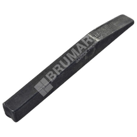 Key for PROGREEN lawnmower - 030874 | Newgardenstore.eu