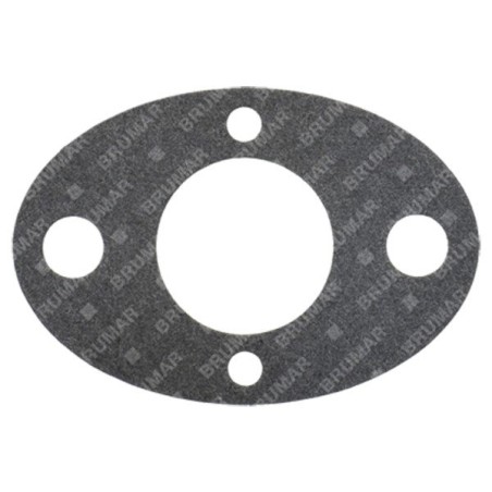 Junta de carburador PROGREEN - 054667 | Newgardenstore.eu