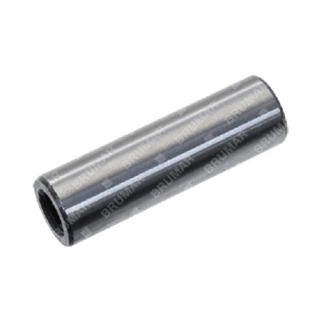 Pasador de pistón diámetro 10 mm para motoazadas PROGREEN - 054022 | Newgardenstore.eu