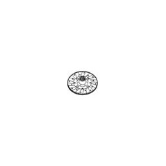 Rigid clutch disc 40005 FOR LAMBORGHINI 0.422.2213.3 GG4 40005 002 | Newgardenstore.eu