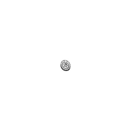 Rigid clutch disc 40022 FOR LAVERDA 301525750 GG4 40022 001 | Newgardenstore.eu