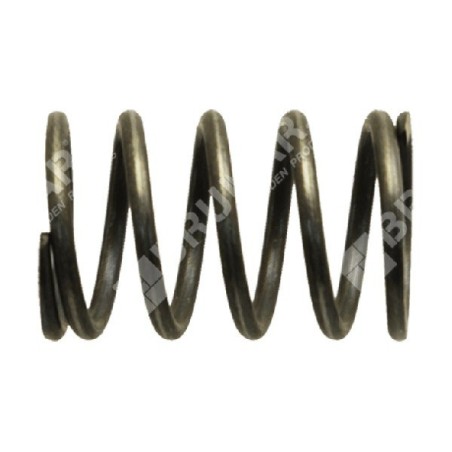 Muelle de válvula para desbrozadoras GREEN LINE - 022994 | Newgardenstore.eu