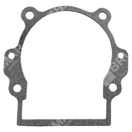 Guarnizione carter motore per decespugliatori GREEN LINE Compatibile - 046974 | Newgardenstore.eu