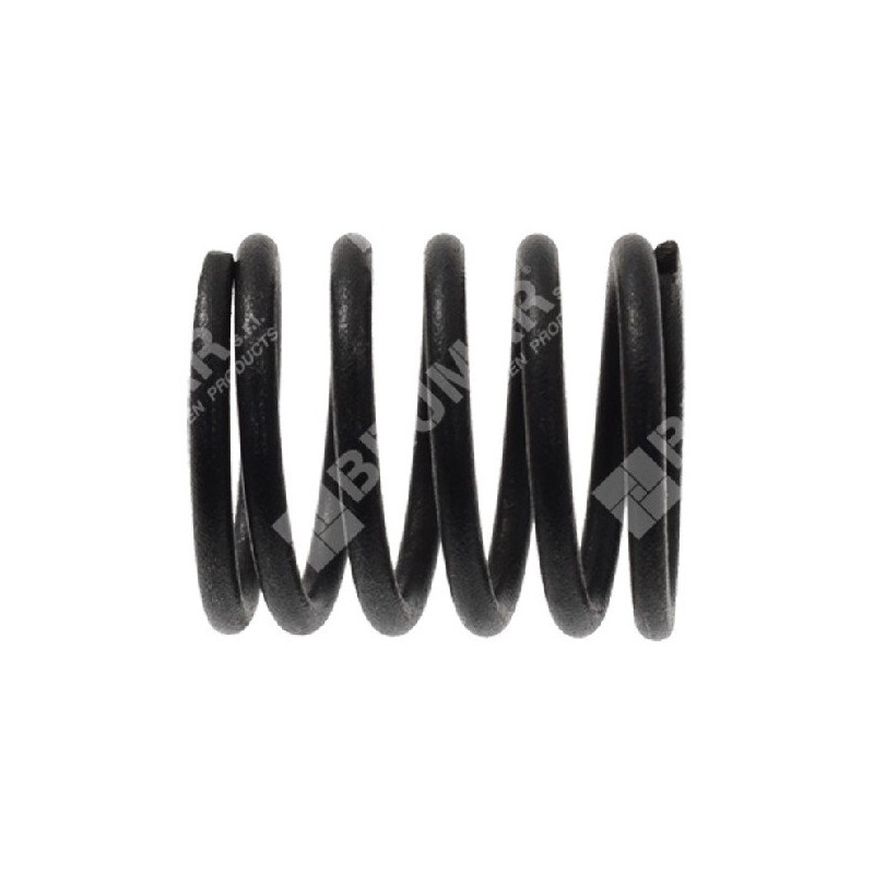 Valve spring for DAYE engines - DAYEE - 037874 Valve spring for DAYE engines - DAYEE - 037874