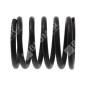 Valve spring for DAYE engines - DAYEE - 037874 Valve spring for DAYE engines - DAYEE - 037874