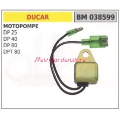 Control unit DUCAR motor pump DP 25 40 80 DPT 80 038599 | Newgardenstore.eu