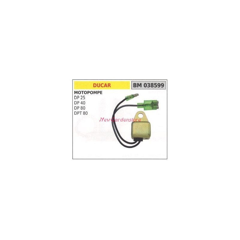 Steuergerät DUCAR Motorpumpe DP 25 40 80 DPT 80 038599