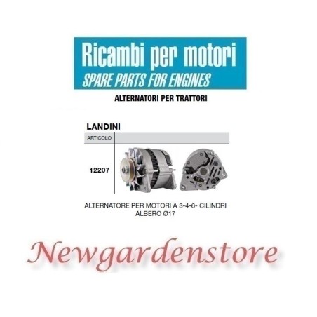 Alternator 12207 LANDINI tractor engine 3 4 6 cylinders 14 volts 70 amps | Newgardenstore.eu