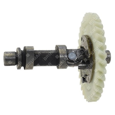 Camshaft DG11050T - 057286 | Newgardenstore.eu