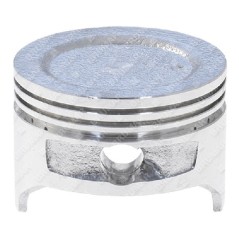Pistón completo para cultivadores BLX - 057311 | Newgardenstore.eu