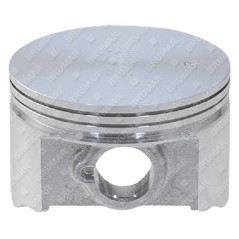 Pistón completo para quitanieves MAORI - 054750 | Newgardenstore.eu