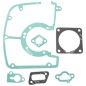Series of gaskets for ALPINA - CASTOR - CASTELGARDEN - GGP chainsaws 8723090 - 005842