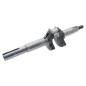 Vilebrequin pour moteurs et tondeuses DUCAR 470304 - 055688