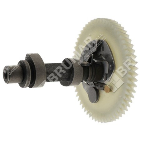 Kurbelwelle für DUCAR-Motorpumpen 252002 - 047352 | Newgardenstore.eu