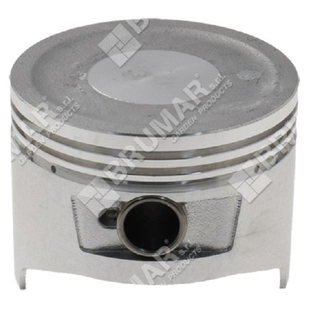 Pistone completo diametro 77 mm per motopompe DUCAR Compatibile - 047325 | Newgardenstore.eu