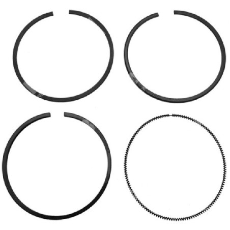 BRIGGS & STRATTON Quadratsegment-Kit Durchmesser 68,1 mm – 011594 | Newgardenstore.eu